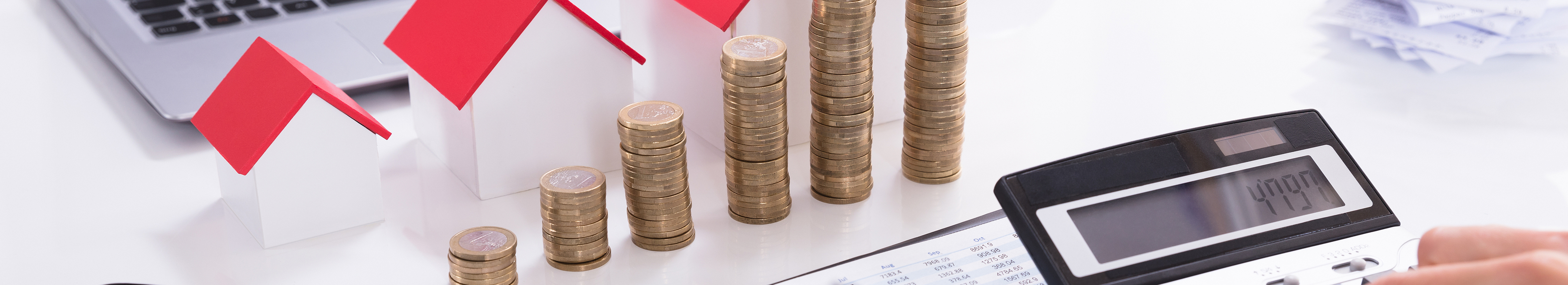 湛江市泽鑫财税服务有限公司_廉江代理记账_廉江公司注册_廉江注册公司_廉江商标注册_廉江财务咨询